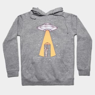 Sunny with a chance of abduction Hoodie